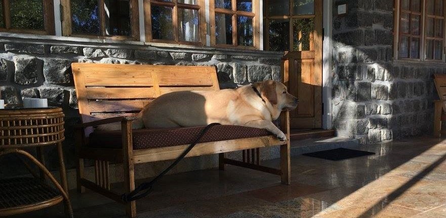 Sasha sleeping final1